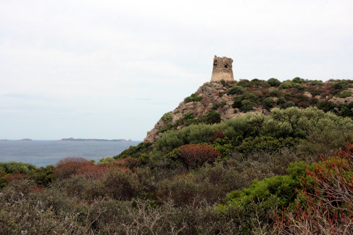 wehrturm-sardinien-bucht-notteri