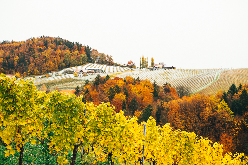 Südsteirische Weinstraße Kurzurlaub Herbst