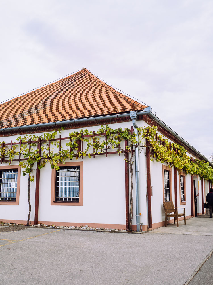 weingut-malek-jeruzalem