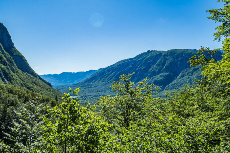 Bohinj-tal-vogel-berg